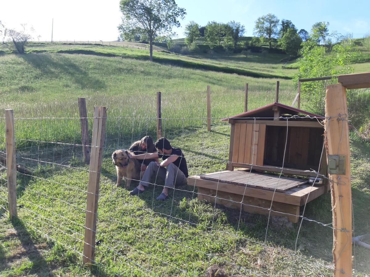 Eguzkitze Alojamiento Rural Lss00085 Pension Abaltzisketa Buitenkant foto