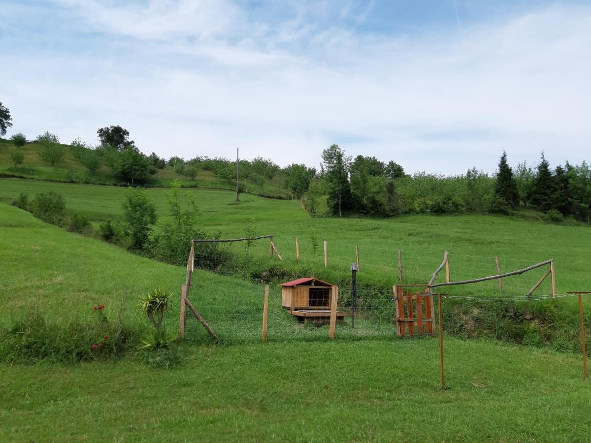 Eguzkitze Alojamiento Rural Lss00085 Pension Abaltzisketa Buitenkant foto