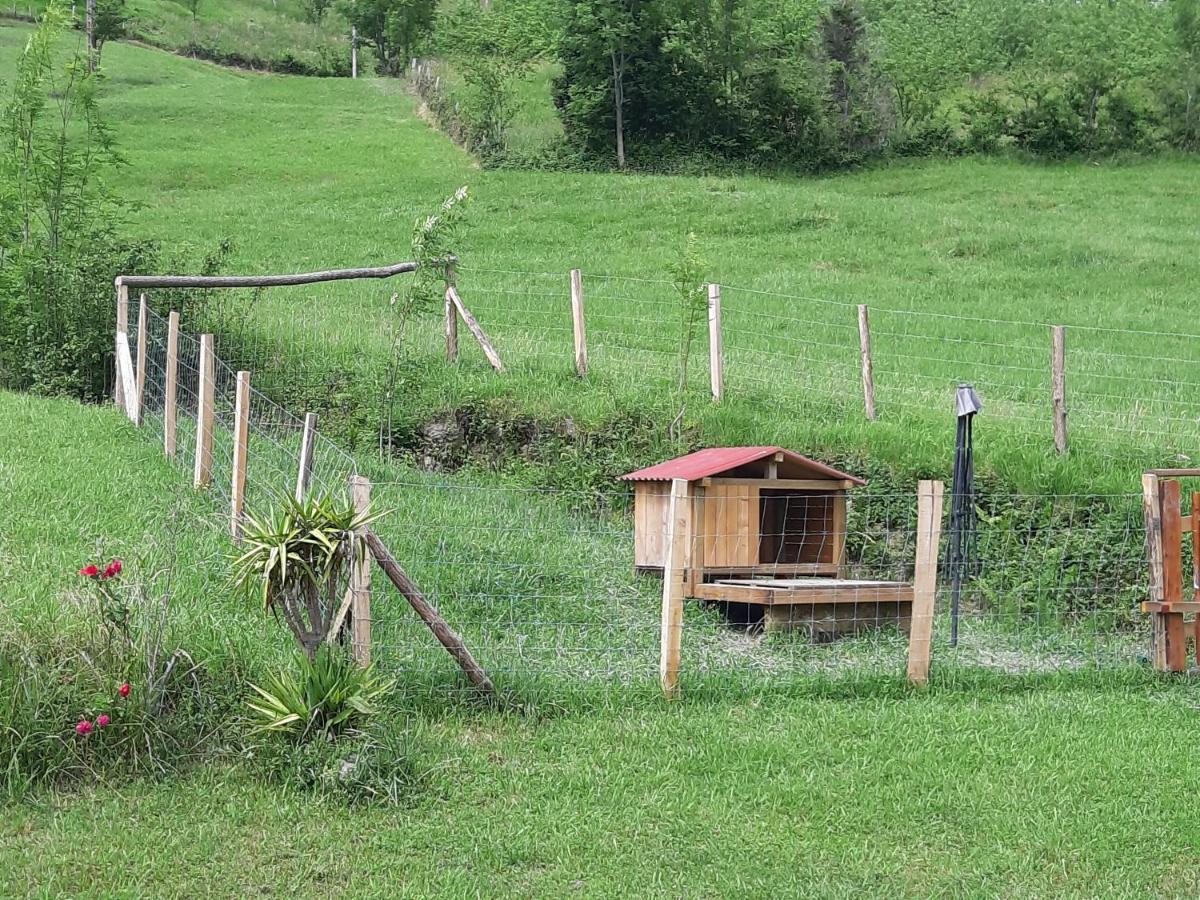 Eguzkitze Alojamiento Rural Lss00085 Pension Abaltzisketa Buitenkant foto