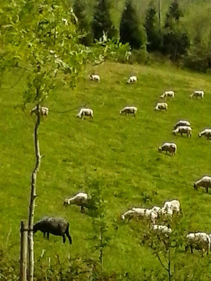 Eguzkitze Alojamiento Rural Lss00085 Pension Abaltzisketa Buitenkant foto