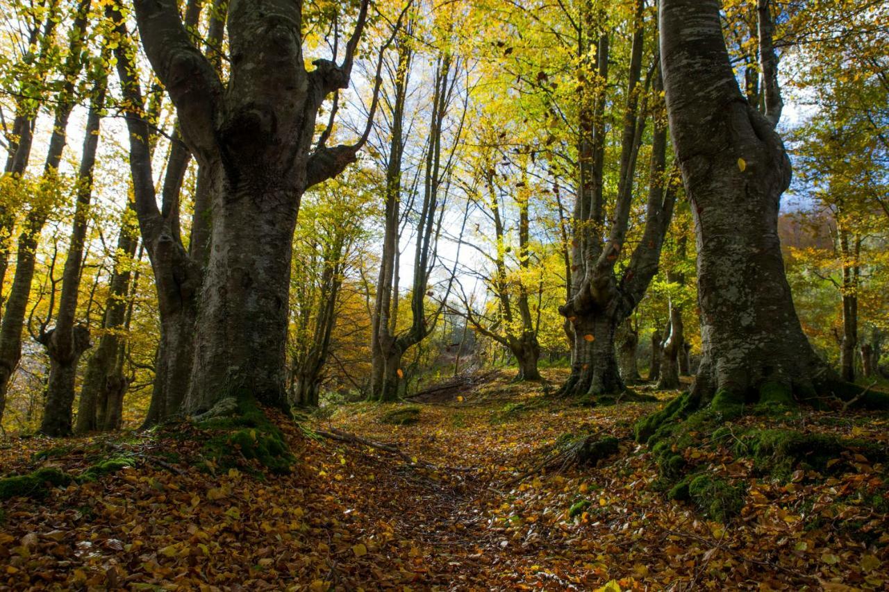 Eguzkitze Alojamiento Rural Lss00085 Pension Abaltzisketa Buitenkant foto