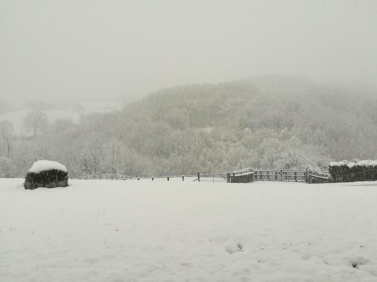 Eguzkitze Alojamiento Rural Lss00085 Pension Abaltzisketa Buitenkant foto