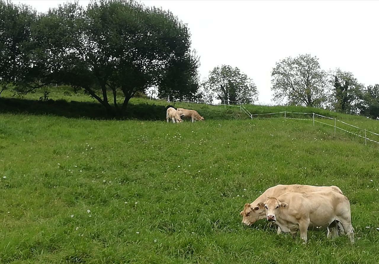 Eguzkitze Alojamiento Rural Lss00085 Pension Abaltzisketa Buitenkant foto